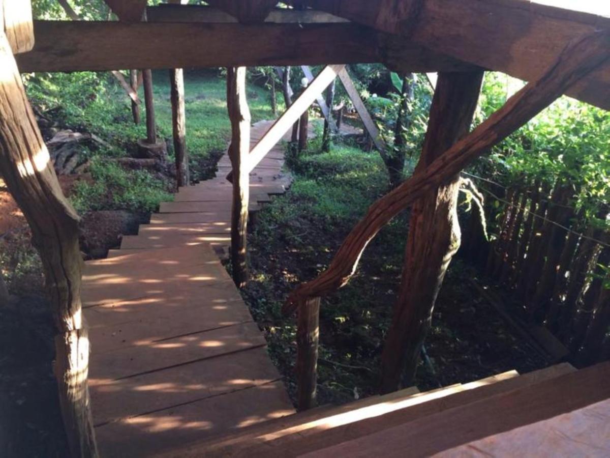 Tree Top Eco-Lodge Banlung Eksteriør billede