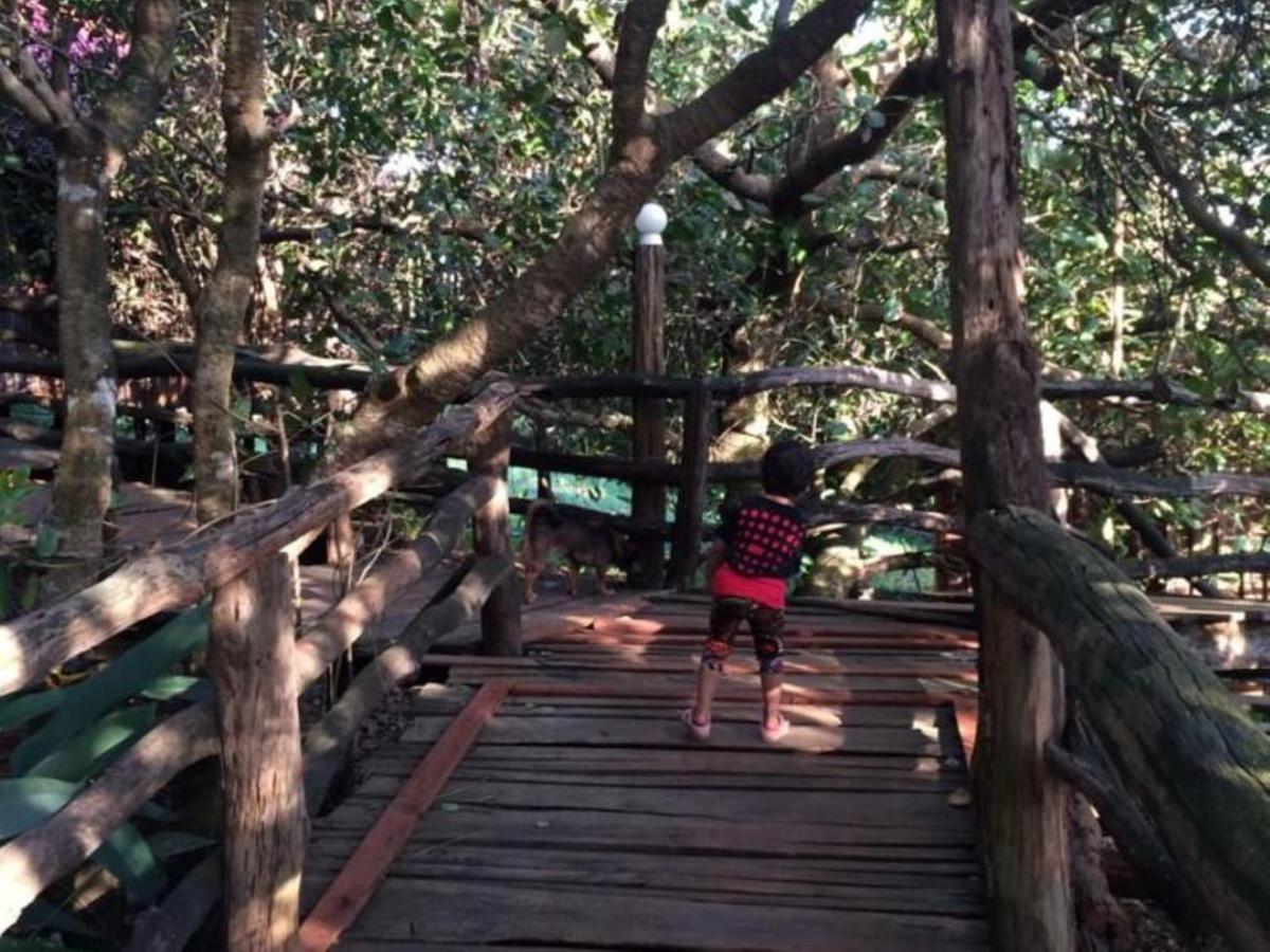 Tree Top Eco-Lodge Banlung Eksteriør billede